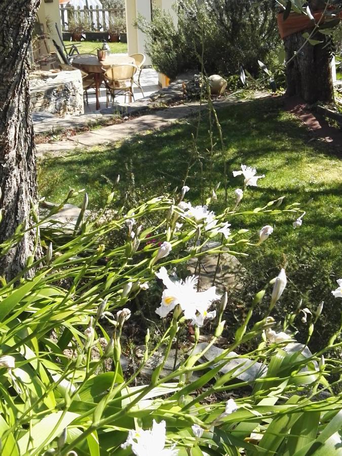 Terre Di Garlenda Guest House Exterior photo