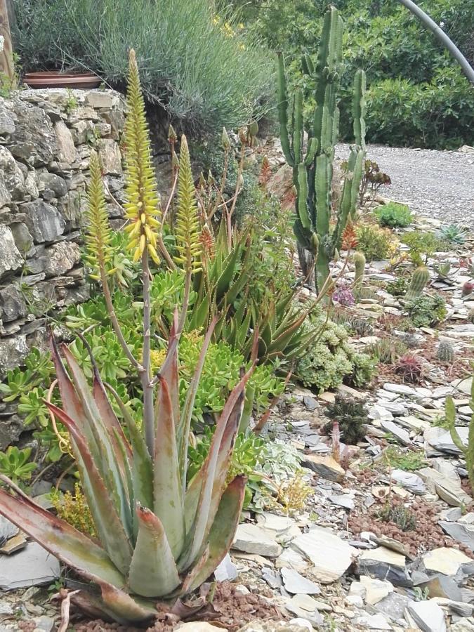 Terre Di Garlenda Guest House Exterior photo