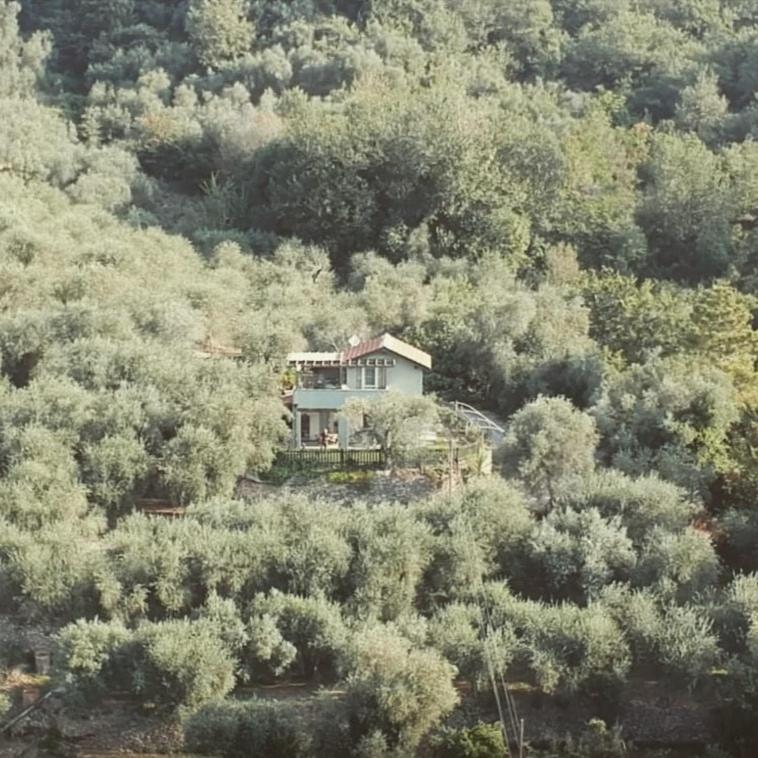 Terre Di Garlenda Guest House Exterior photo