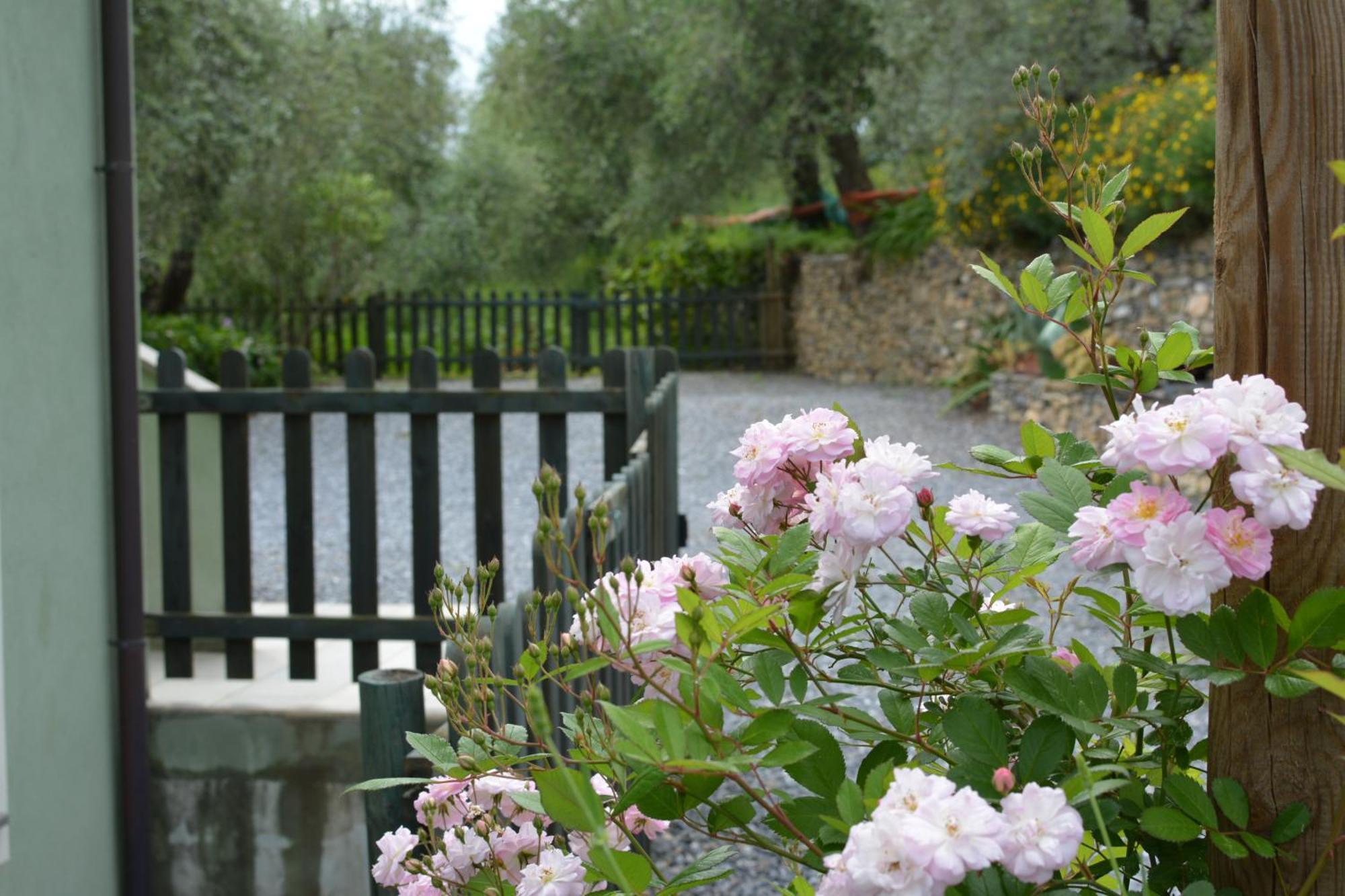 Terre Di Garlenda Guest House Exterior photo
