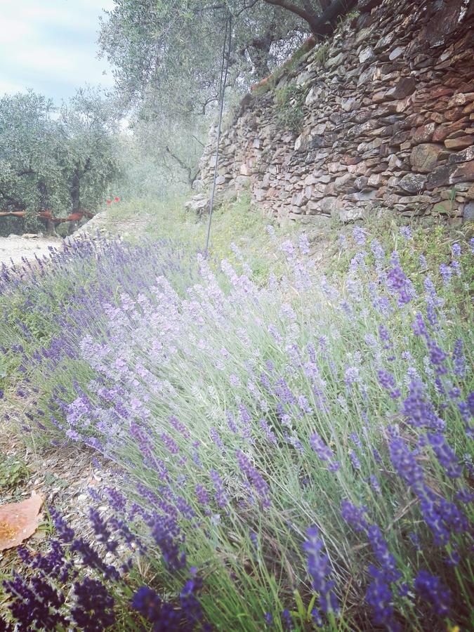 Terre Di Garlenda Guest House Exterior photo